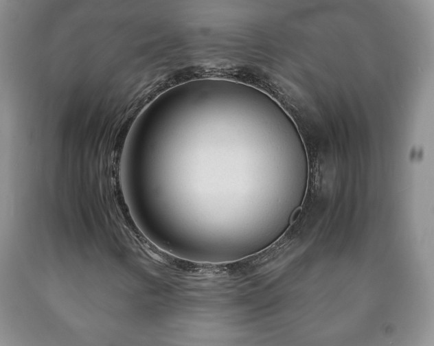 X0000090601346200707241034