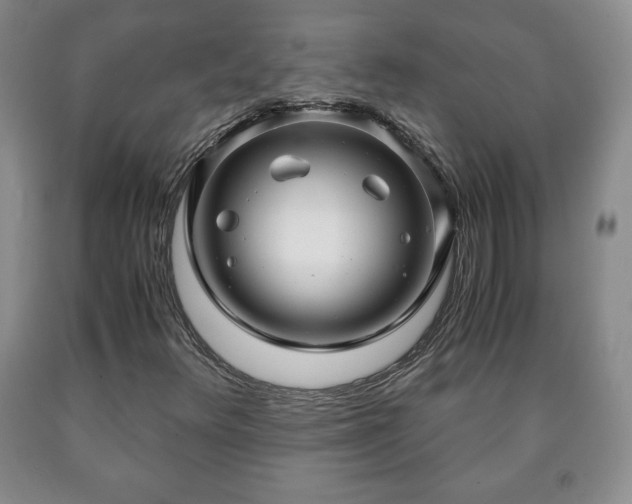 X0000090601348200707241034
