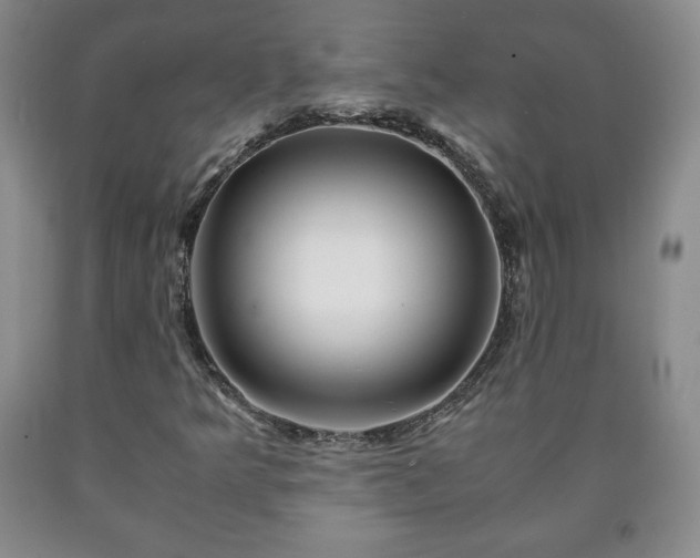 X0000090601349200707241034