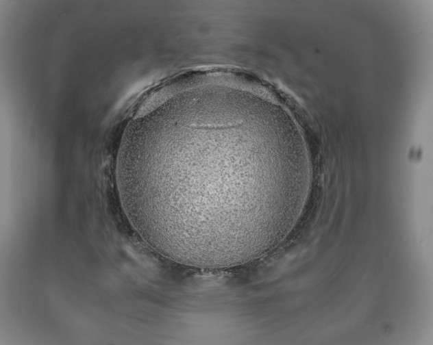 X0000090601351200707241034