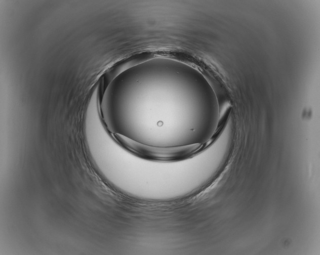 X0000090601353200707241034