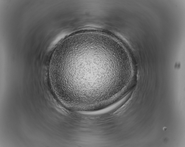 X0000090601355200707241034