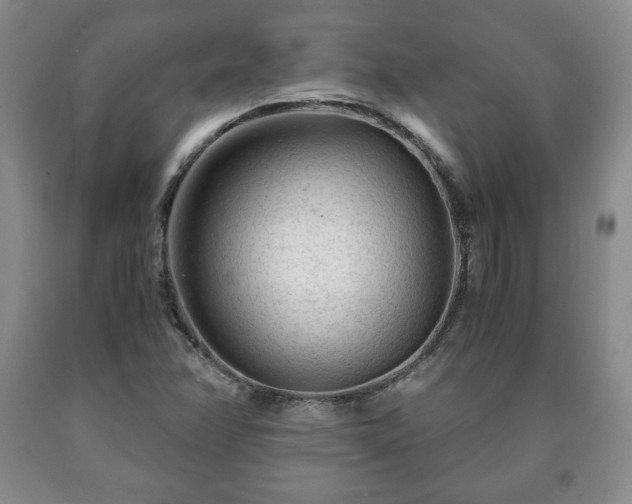 X0000090601358200707241034