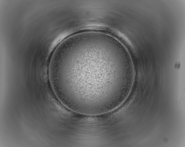 X0000090601362200707241034