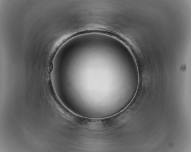 X0000090601363200707241034