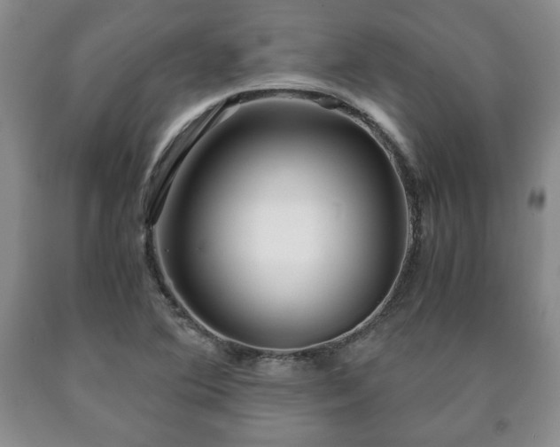 X0000090601364200707241034