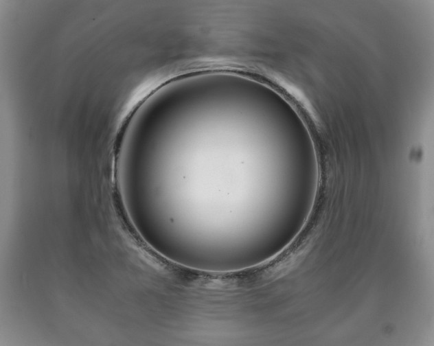 X0000090601365200707241034