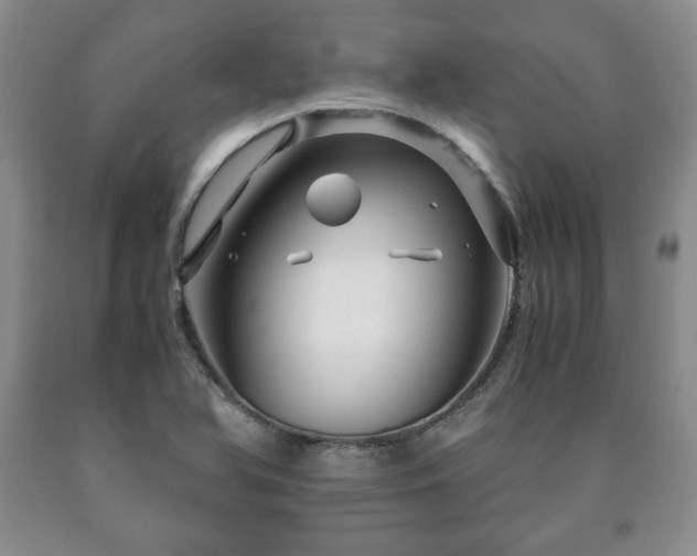 X0000090601366200707241034