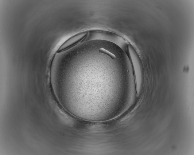 X0000090601367200707241033