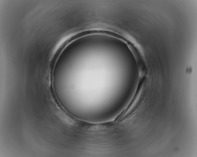 X0000090601368200707241033