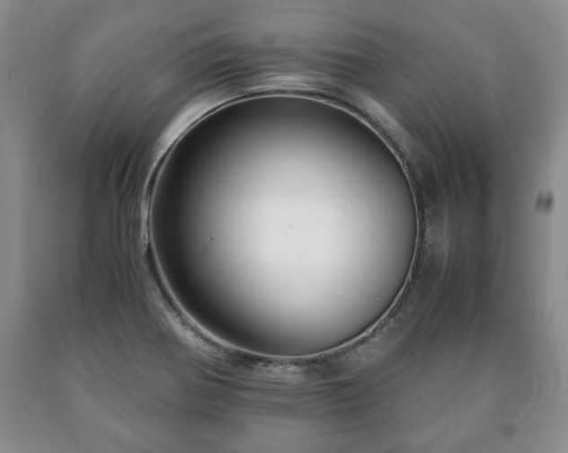 X0000090601370200707241033
