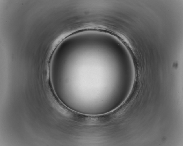 X0000090601371200707241033