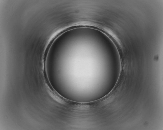 X0000090601372200707241033