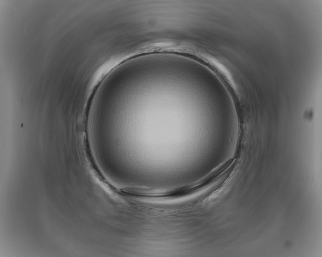 X0000090601373200707241033