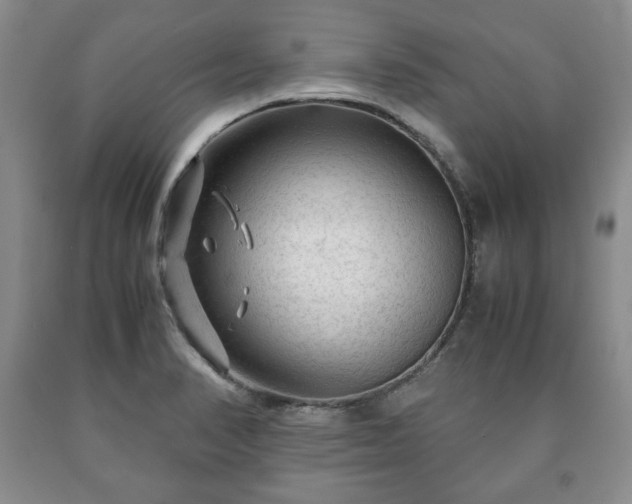 X0000090601374200707241033