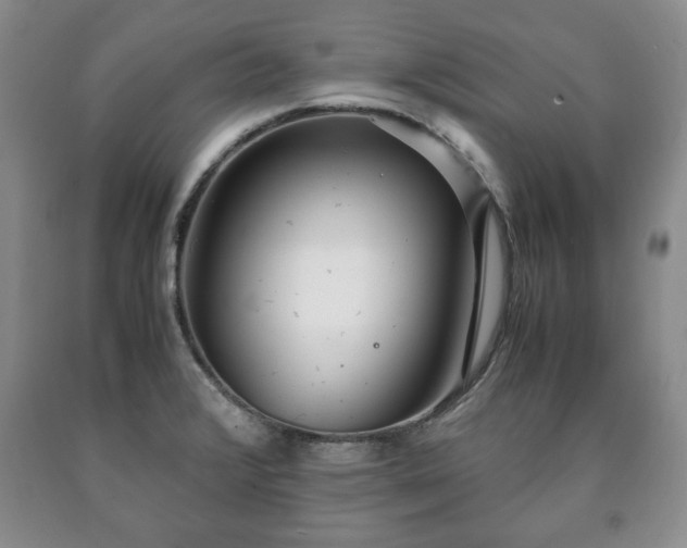 X0000090601376200707241033