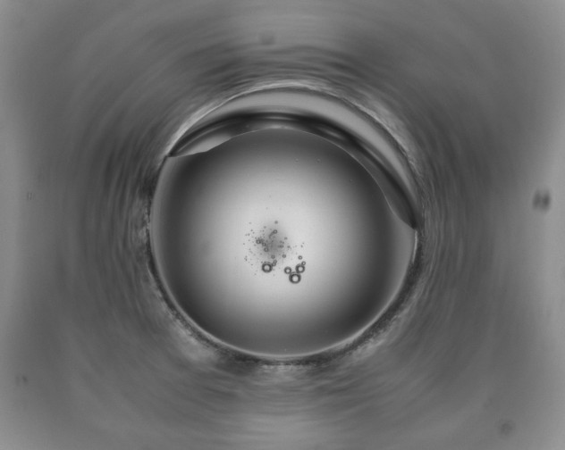 X0000090601377200707241033
