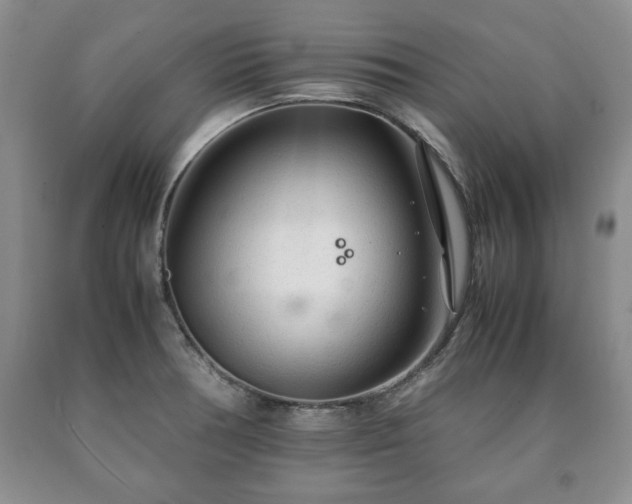 X0000090601378200707241033