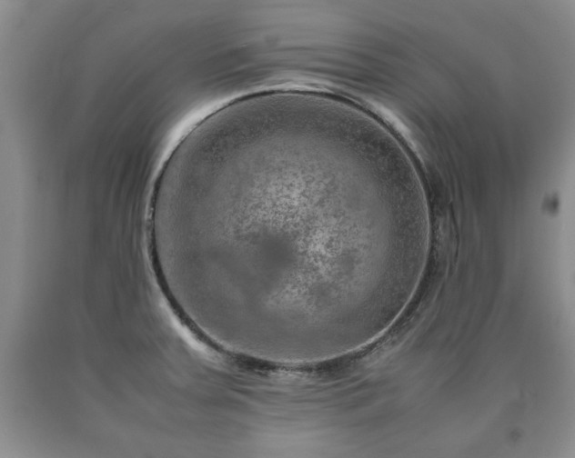 X0000090601379200707241033