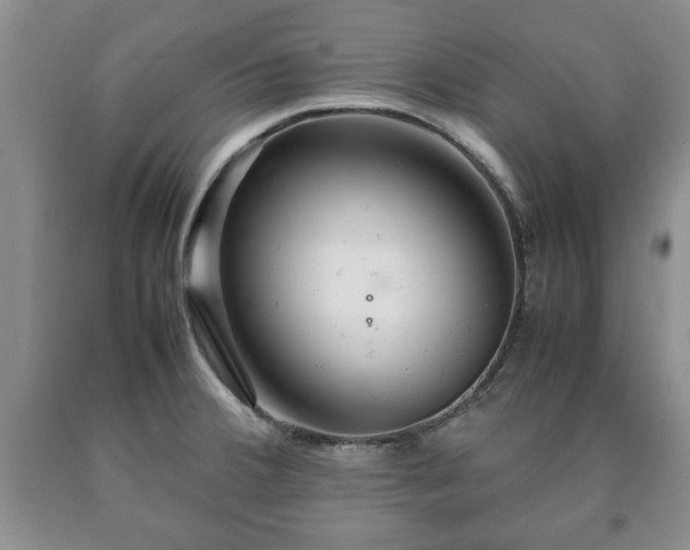 X0000090601380200707241033