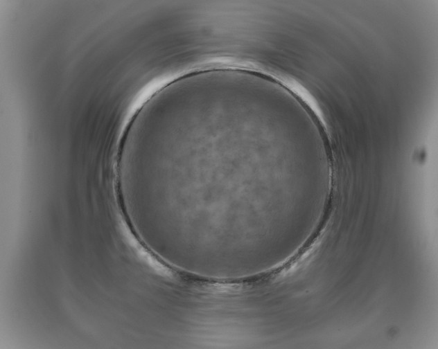 X0000090601381200707241033
