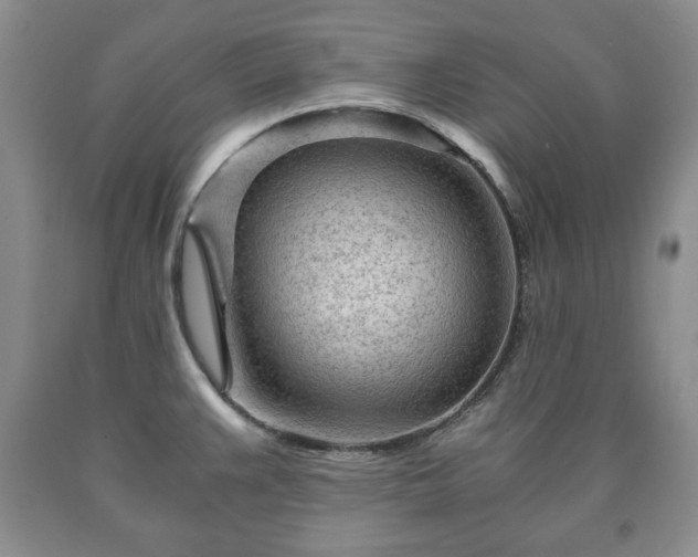 X0000090601383200707241033