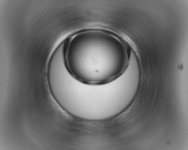 X0000090601384200707241033
