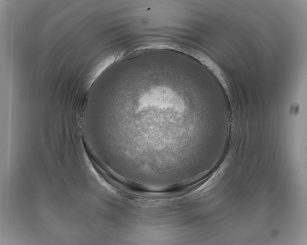 X0000090601385200707241033