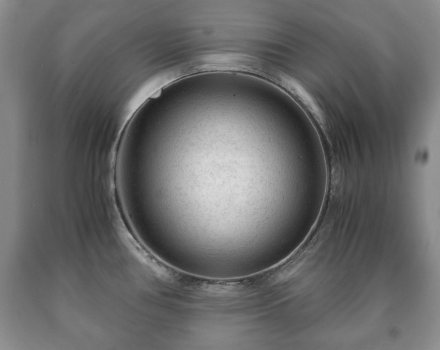 X0000090601386200707241033