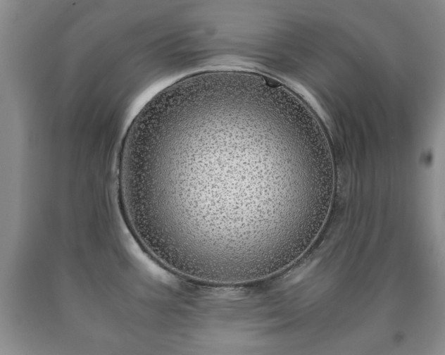 X0000090601387200707241033