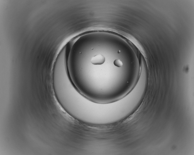 X0000090601388200707241033