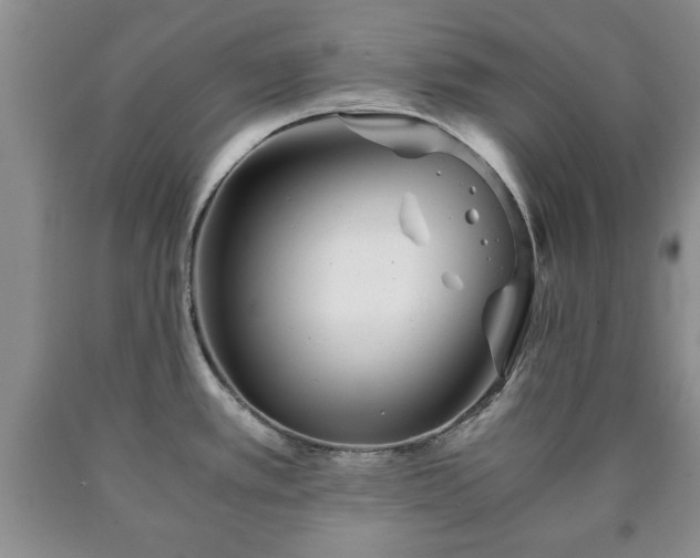 X0000090601389200707241033