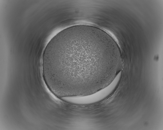 X0000090601391200707241033