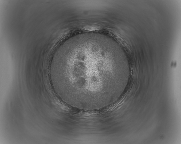 X0000090601393200707241032