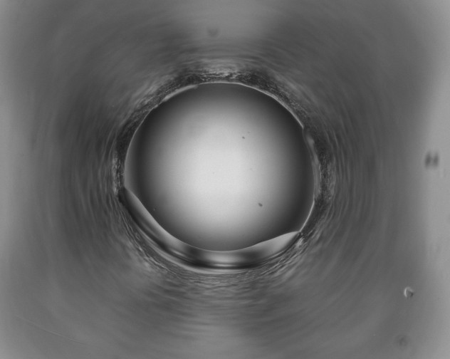 X0000090601394200707241032