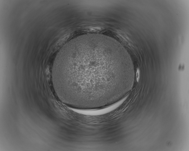 X0000090601395200707241032