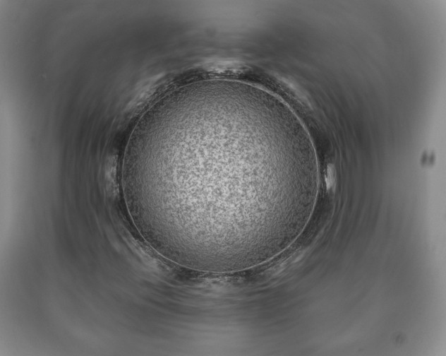 X0000090601396200707241032
