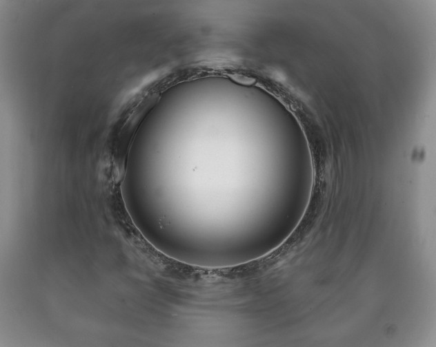 X0000090601398200707241032