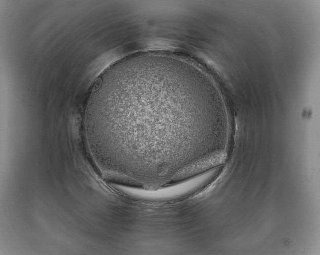 X0000090601401200707241032
