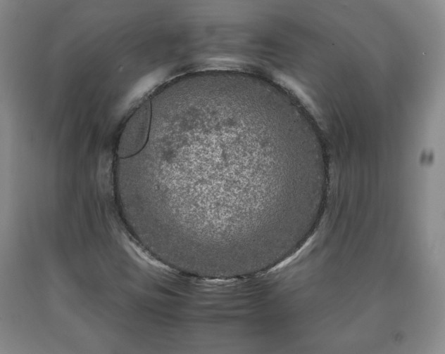 X0000090601403200707241032