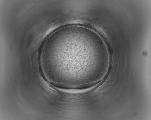 X0000090601404200707241032
