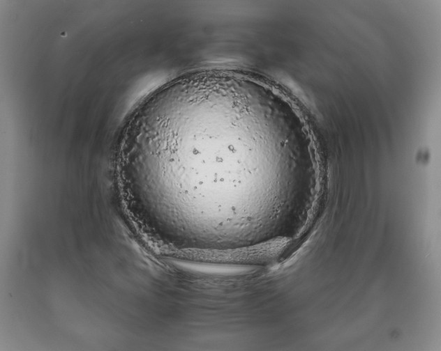 X0000090601405200707241032