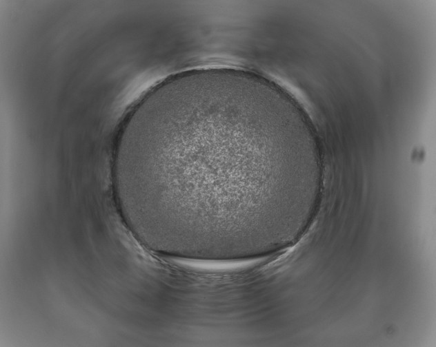 X0000090601407200707241032