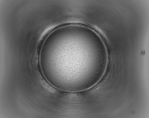 X0000090601408200707241032