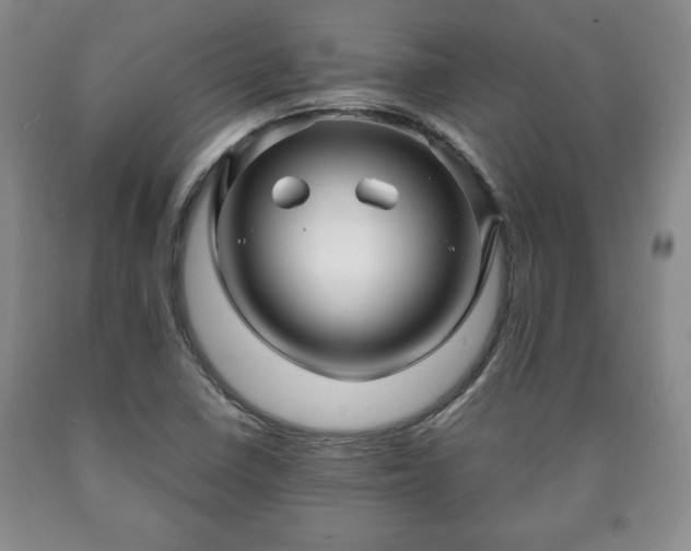 X0000090601410200707241032