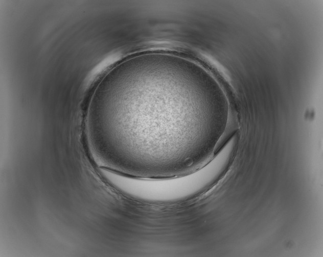 X0000090601411200707241032