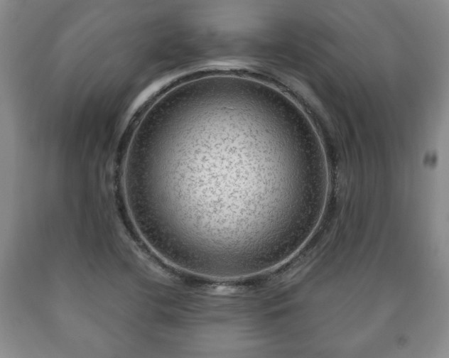 X0000090601412200707241032
