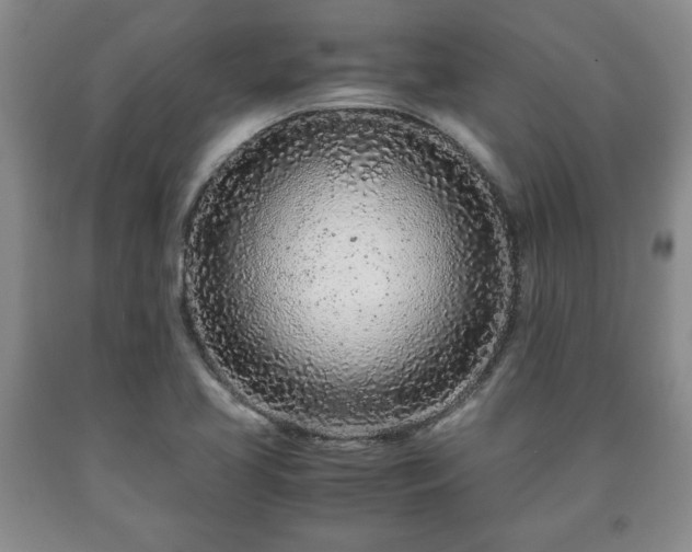 X0000090601413200707241033