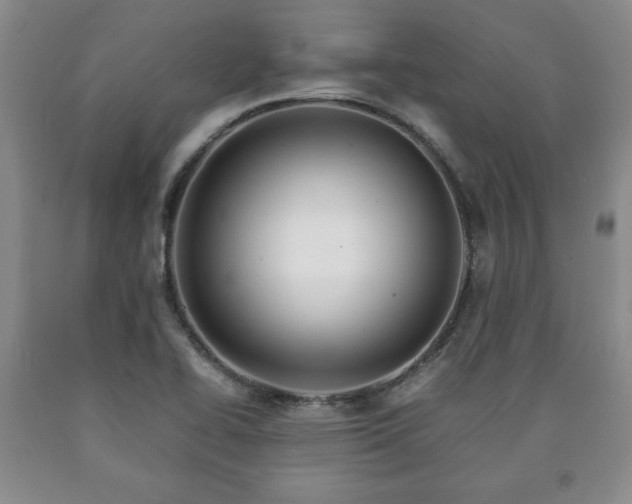 X0000090601414200707241033