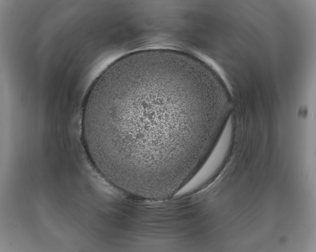X0000090601415200707241033